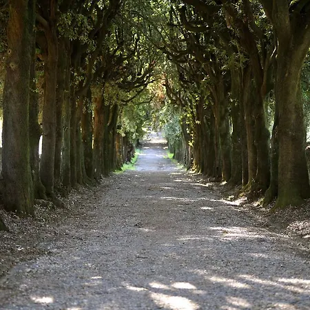 Rospigliosi