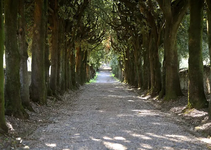 Rospigliosi
